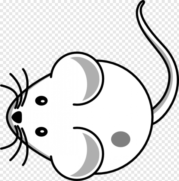 Мышь раскраска для детей