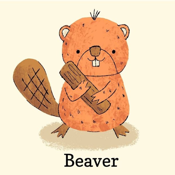 Рисунок бобра