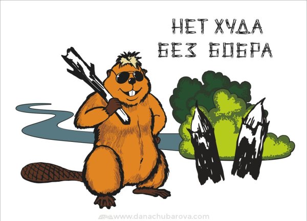 Бобры приколы