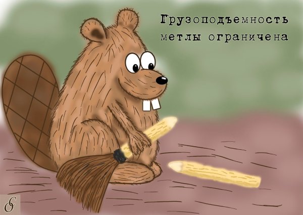 Приколы с бобрами