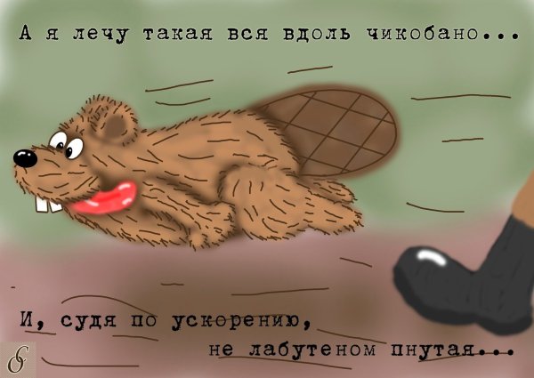 Шутки про Бобров