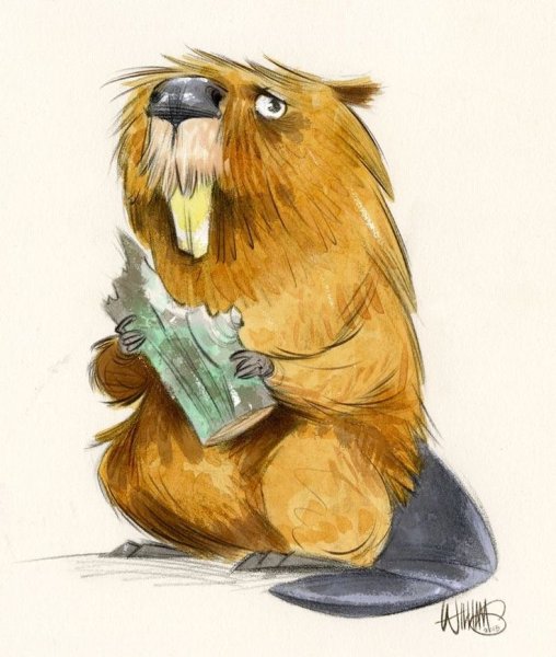 Милый бобер