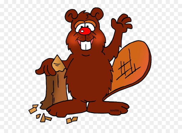 Рисунок бобра смешной