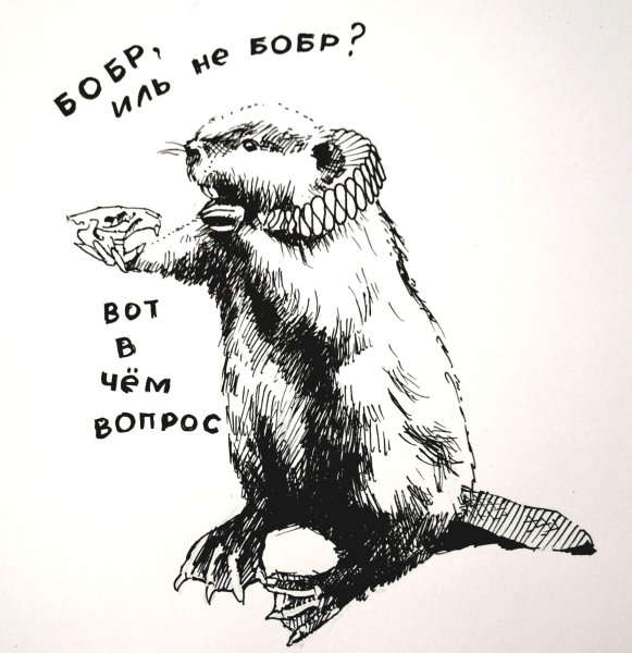 Бобры в мультяшном стиле