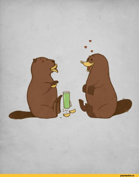 Крутые бобры рисунок