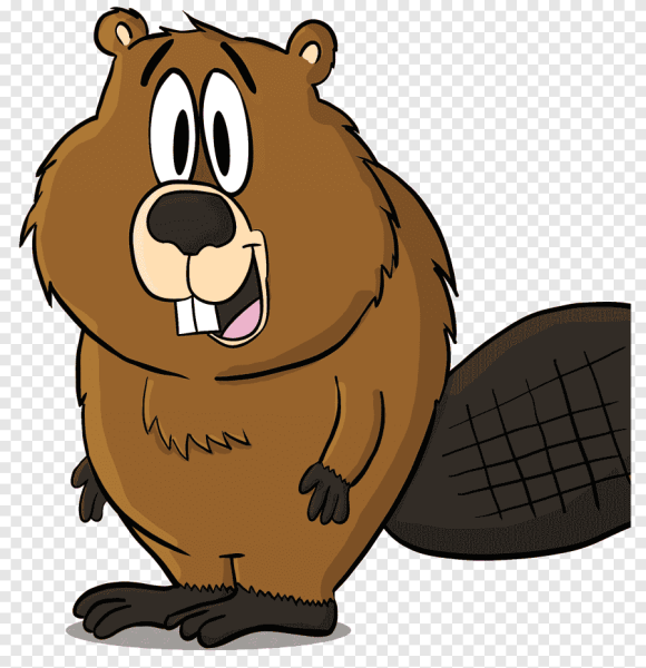 Сумасшедший бобер