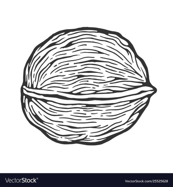 Орех черно белый