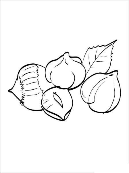 Орех раскраска