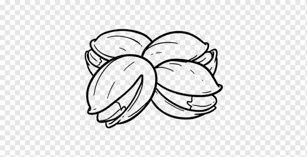 Орешки контур