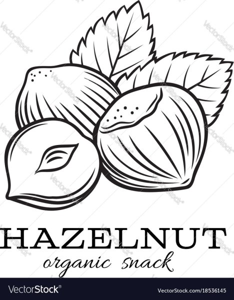 Лесной орех раскраска