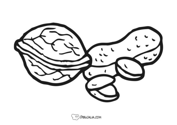 Грецкий орех раскраска для детей