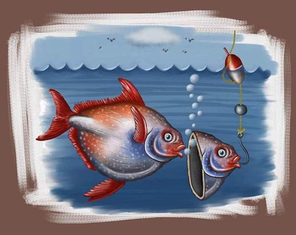 Смешные изображения рыб