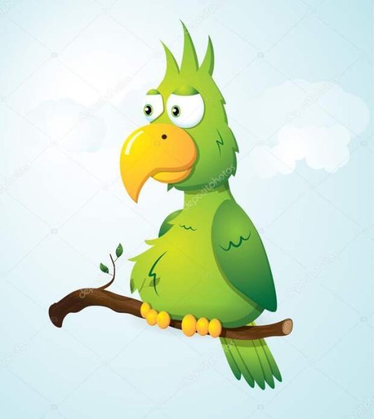 Смешные мультяшные попугаи