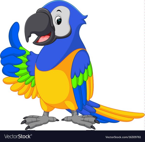 Попугай мультяшный