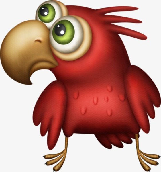 Смешные мультяшные попугаи