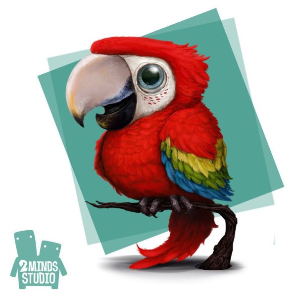 Веселый попугай рисунок