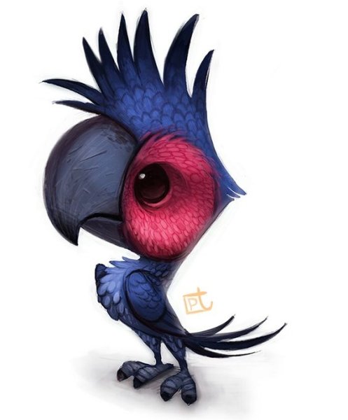 Попугай арт