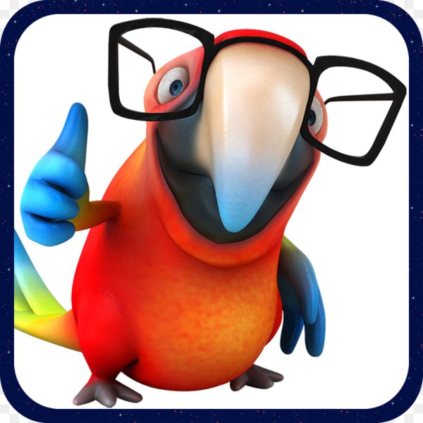 Попугай смешной рисунок