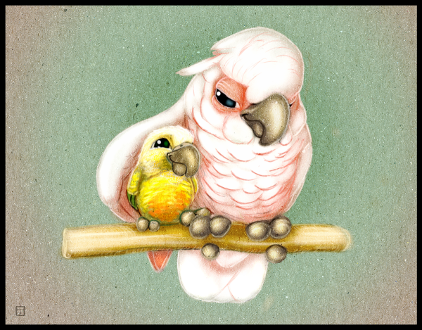 Милые иллюстрации птиц