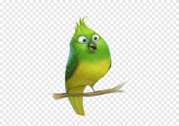 Мультяшные попугаи