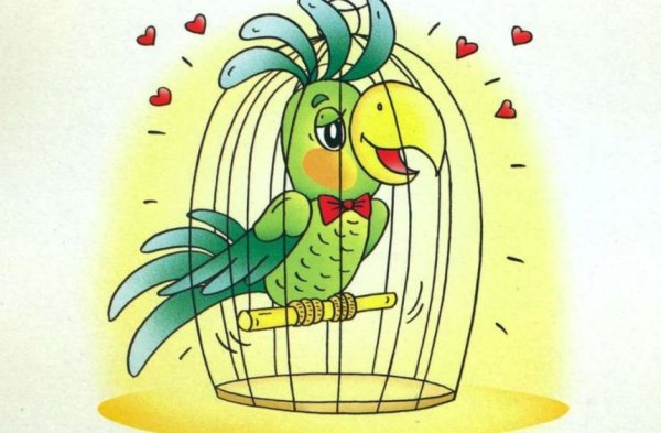 Попугай карикатура