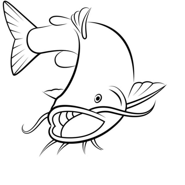 Сом раскраска