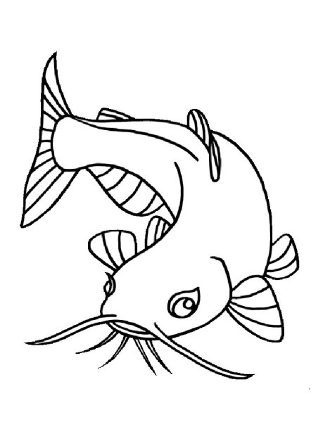 Рыбка сомик аквариумный раскраска