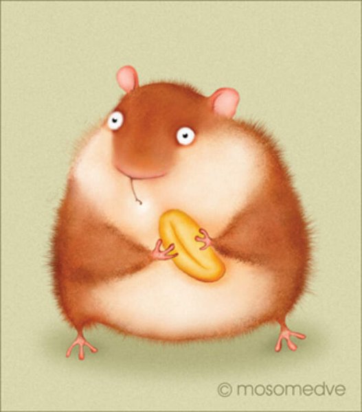 Толстый хомяк