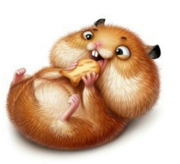 Хомяк мультяшный прикольный