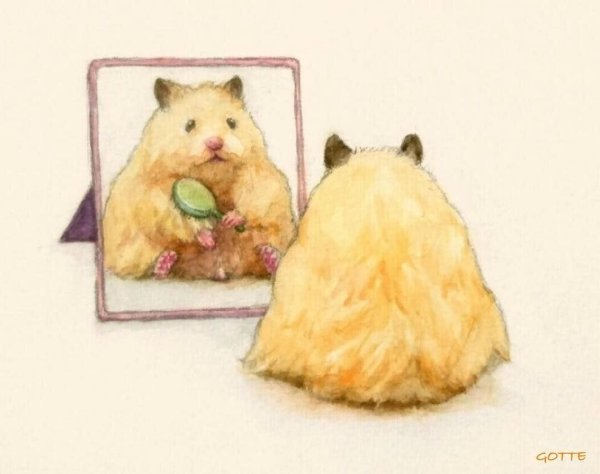 Смешной хомяк рисунок