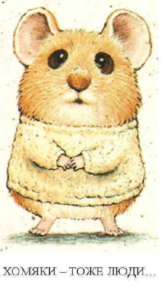 Смешной хомяк рисунок