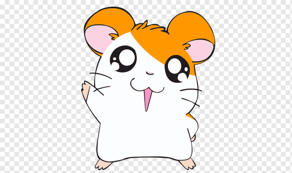 Хамтаро хомячок