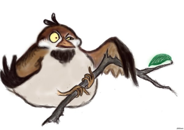 Смешной Воробей
