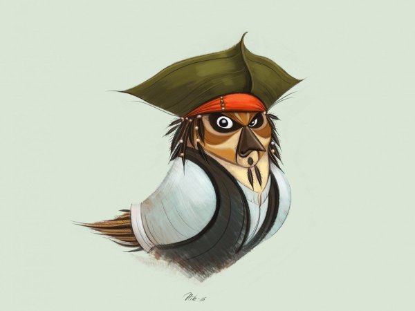 Капитан Воробушек