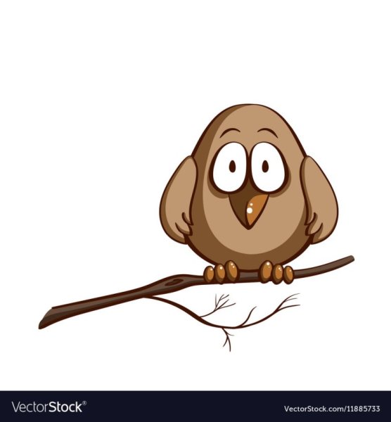 Смешной Воробей рисунок