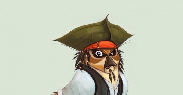 Джек Воробей птица