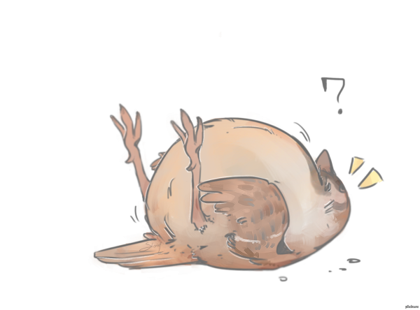 Воробушек арт