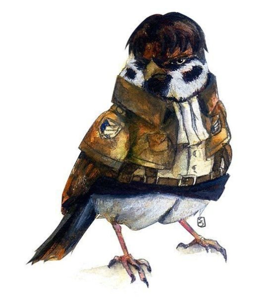 Смешной Воробушек