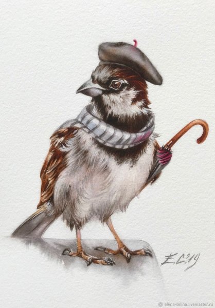 Елена Селина художник воробьи