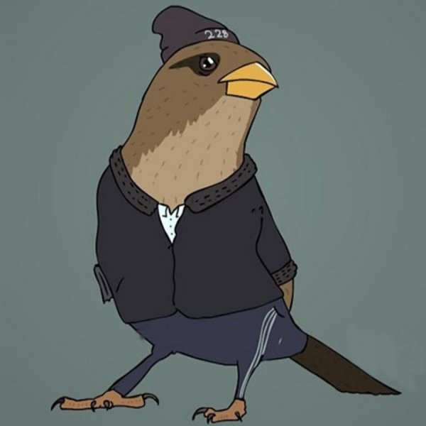 Птица гопник