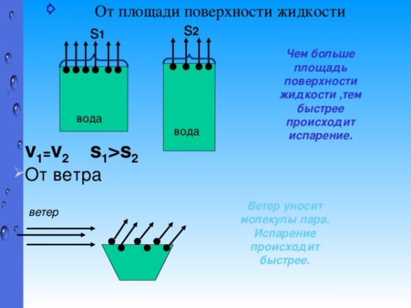 Скорость испарения зависит