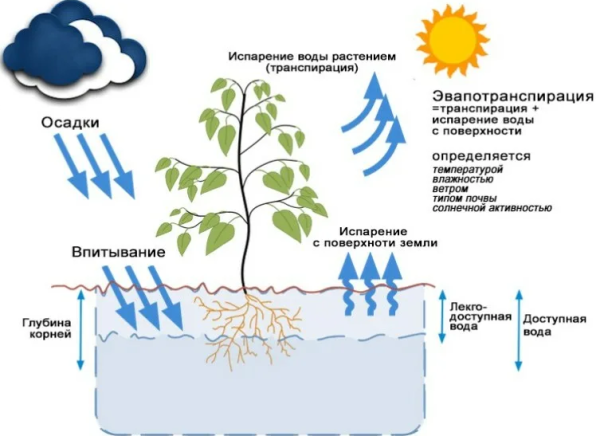 Как происходит конденсация