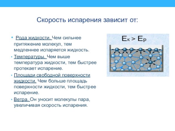 Условия влияющие на испарение воды растениями