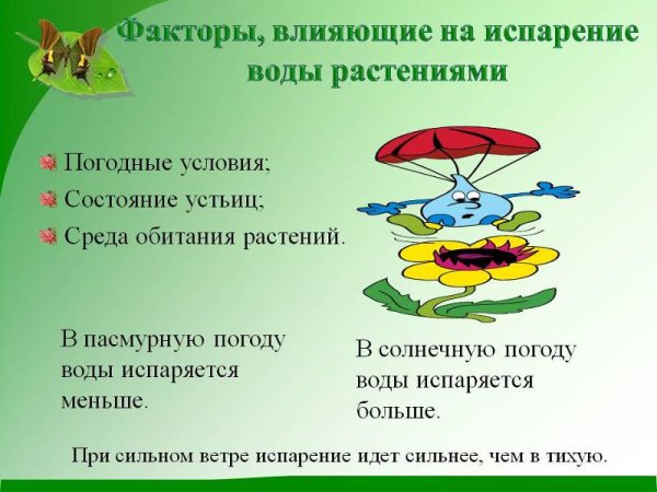 Испарение воды схема