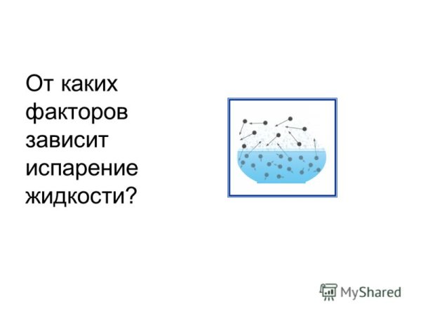 Транспирация воды у растений