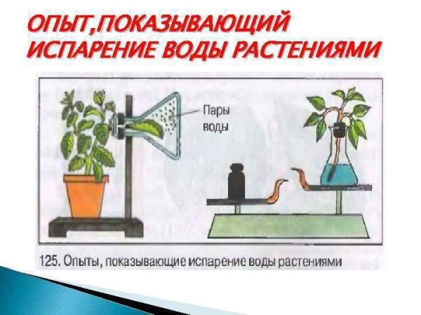 Испарение кипение 8 класс физика