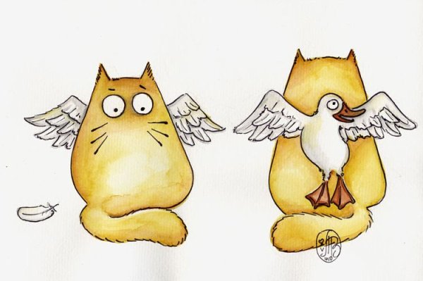 Коты Марии Ван Брюгген