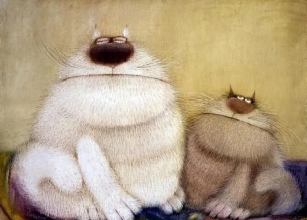 Maria van Bruggen смешные коты