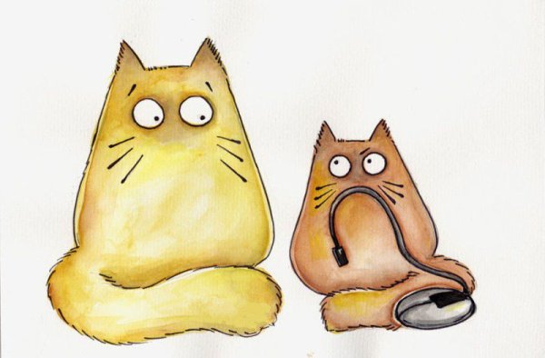 Котики Maria van Bruggen