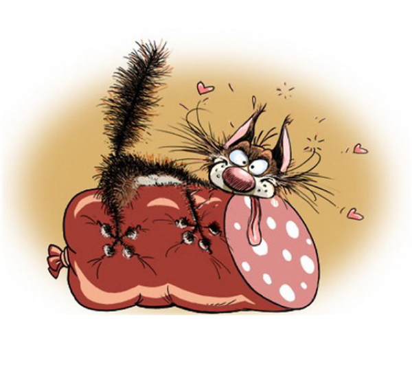 Maria van Bruggen смешные коты